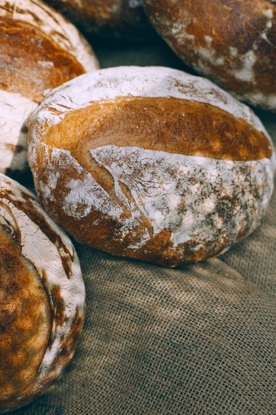 Duurzaam eten in Andalusië - Biopicnic Ronda