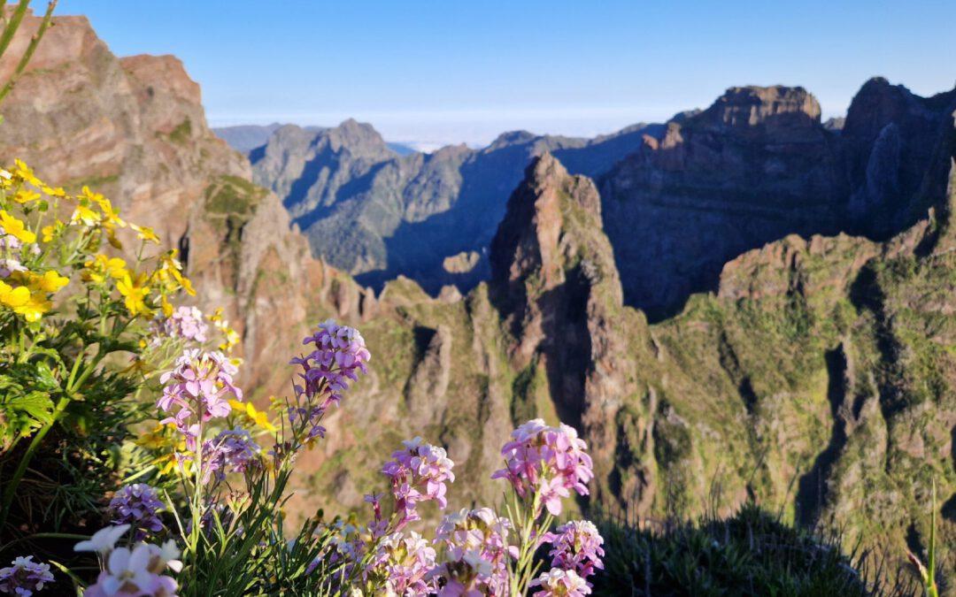 9x De leukste activiteiten op Madeira (Portugal)