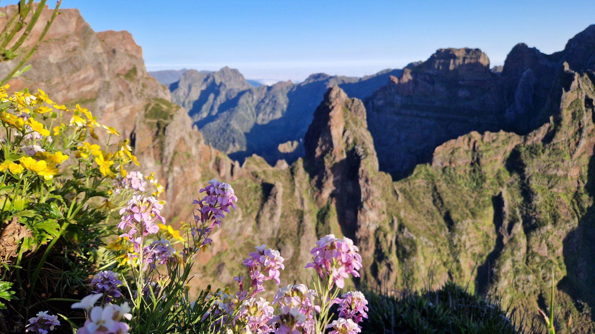 De 9 gaafste activiteiten op Madeira