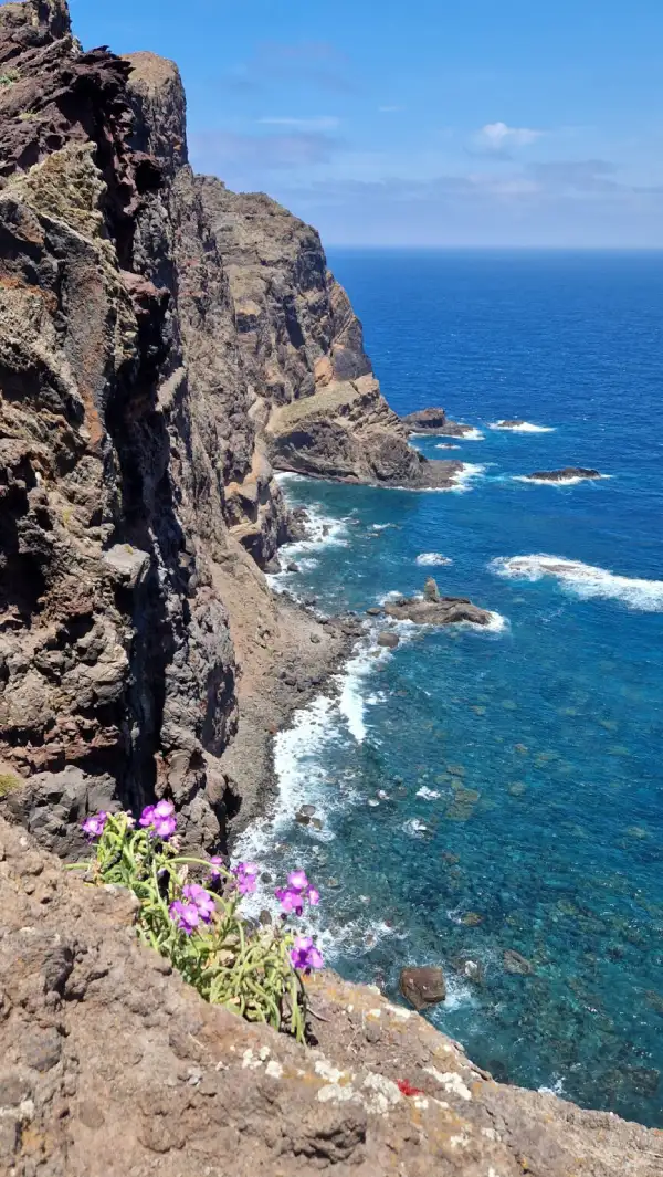De 9 gaafste activiteiten op Madeira