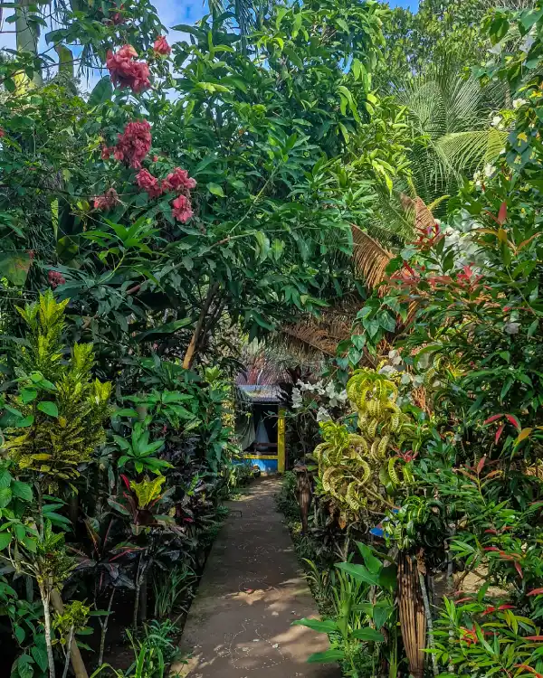 Wat te doen op Bunaken Sulawesi Indonesië