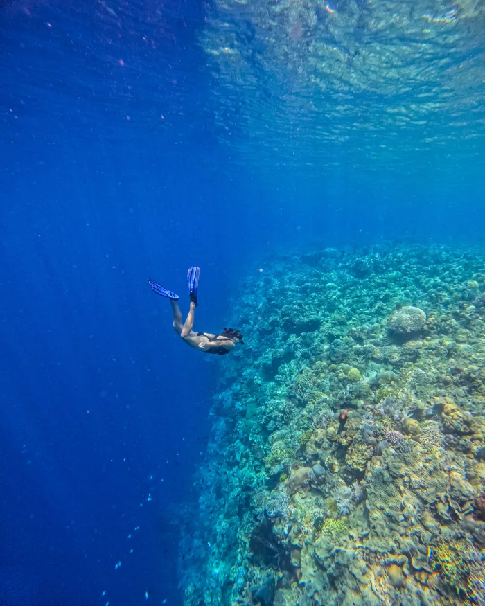 Wat te doen op Bunaken Sulawesi Indonesië