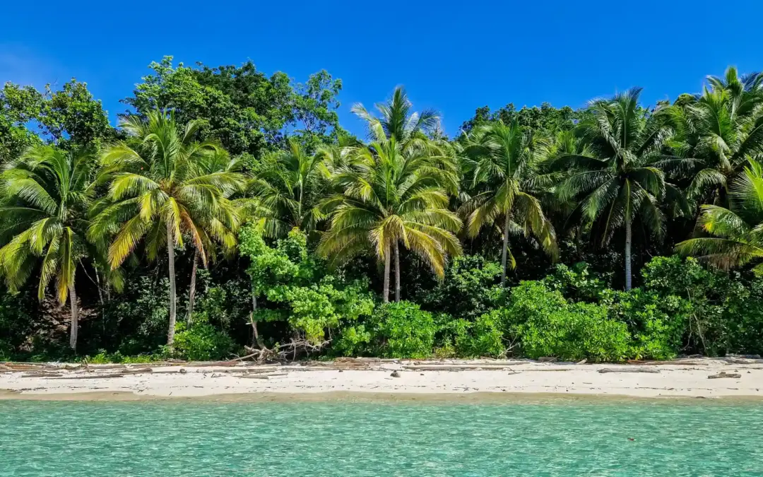 De complete reisgids voor Una Una (Togean Islands)