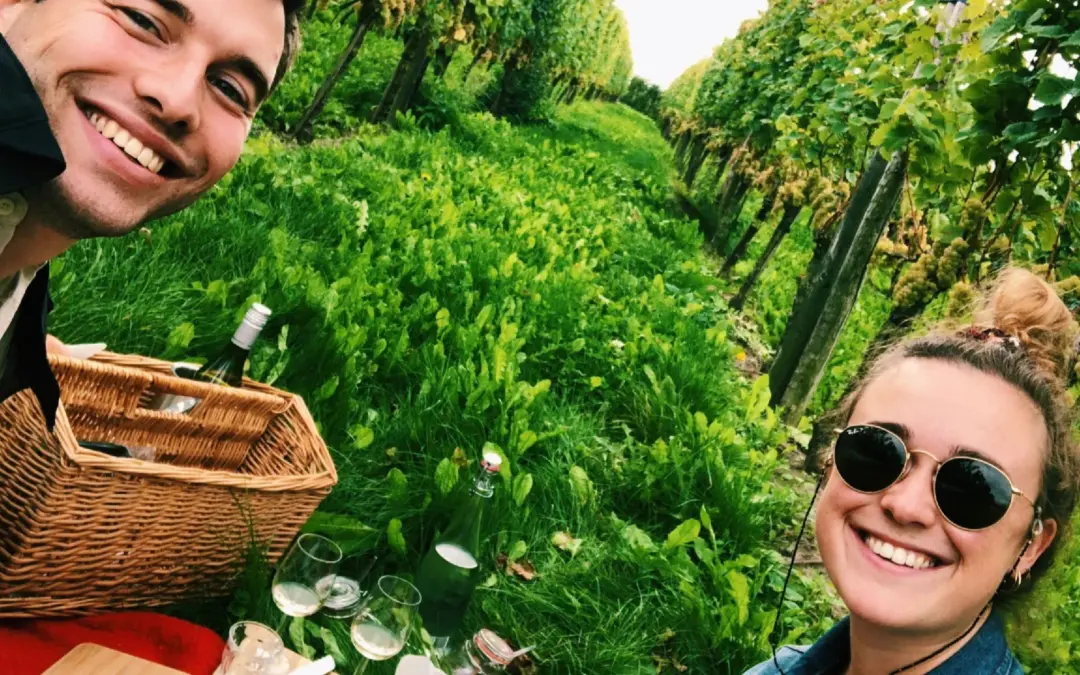 Picknicken in een wijngaard bij het Betuws Wijndomein