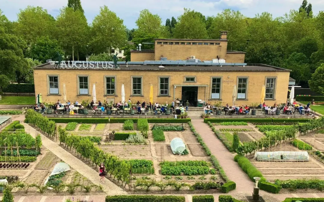 Onze favo duurzame hotspot in Dordrecht: Villa Augustus