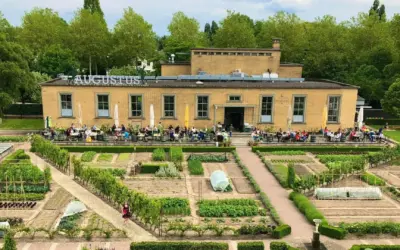Duurzame hotspot in Dordrecht: Villa Augustus