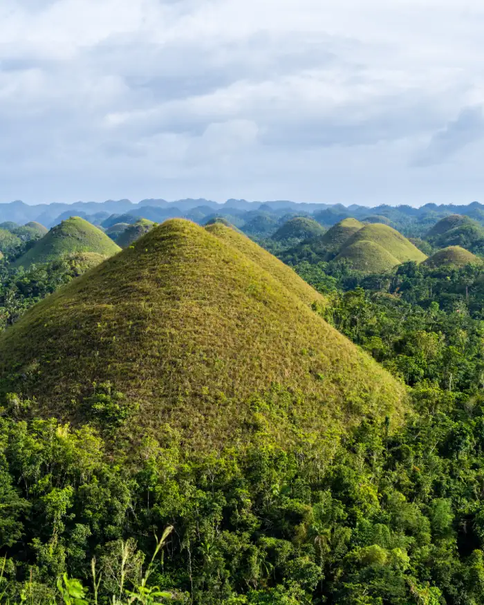 Chocolate Hills Bohol Filipijnen