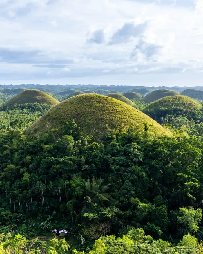 Chocolate Hills Bohol Filipijnen