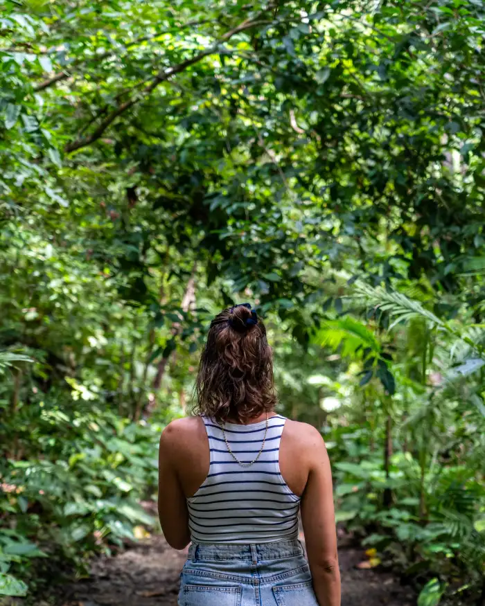 Man made eco forest Bohol Filipijnen