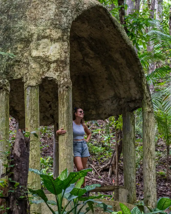 Man made eco forest Bohol Filipijnen