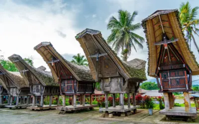 De complete reisgids voor Tana Toraja (Sulawesi)
