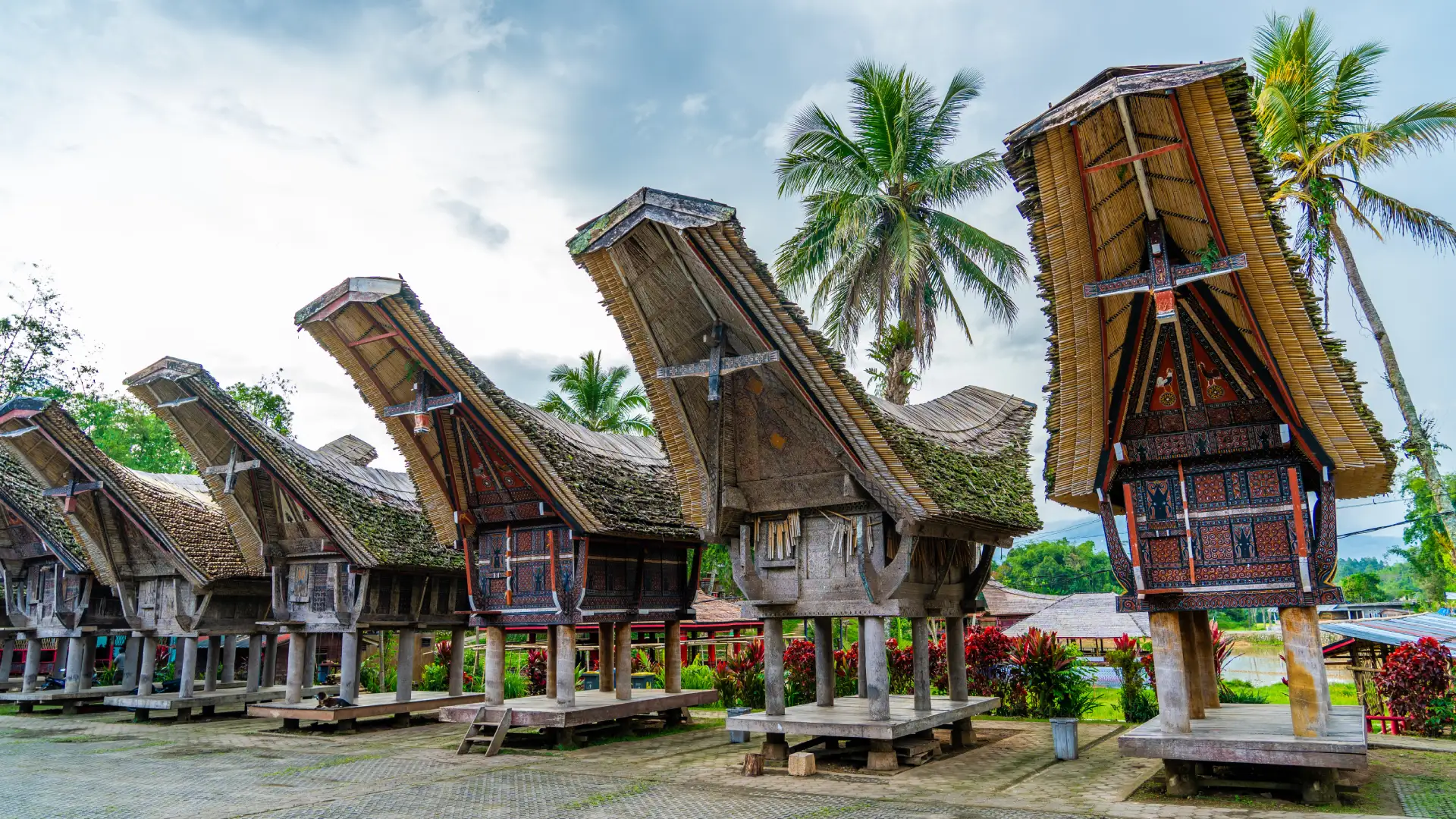 Wat te doen in Tana Toraja Sulawesi