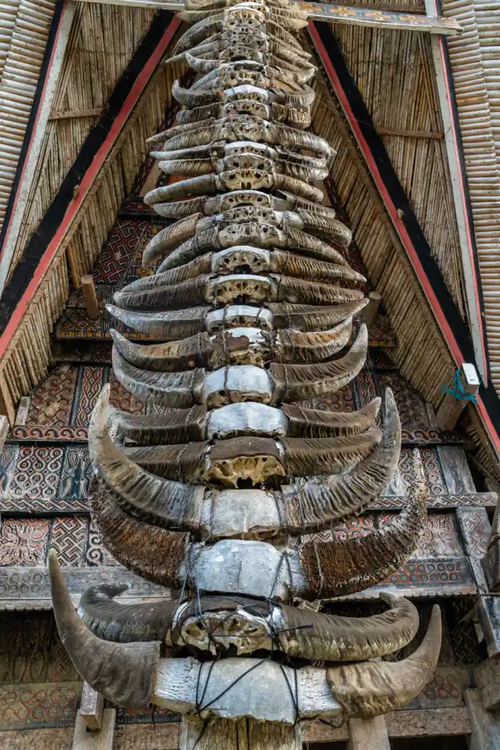 Wat te doen in Tana Toraja Sulawesi