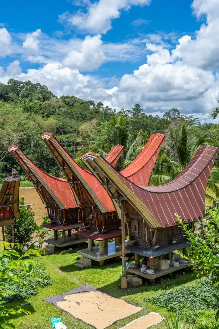 Wat te doen in Tana Toraja Sulawesi