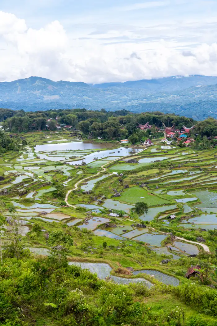 Wat te doen in Tana Toraja Sulawesi