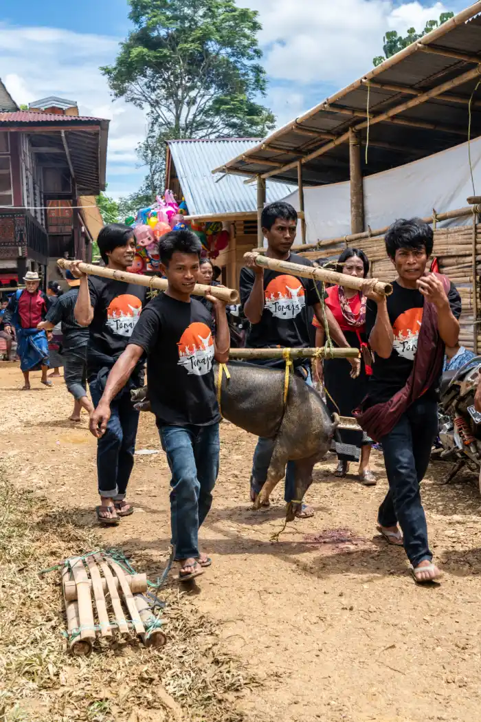 Wat te doen in Tana Toraja Sulawesi