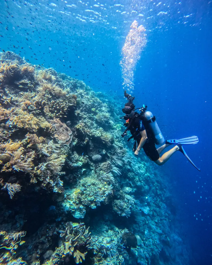 Wat te doen op Bunaken Sulawesi Indonesië