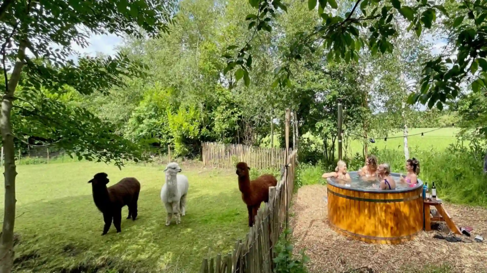 Overnachten in de natuur