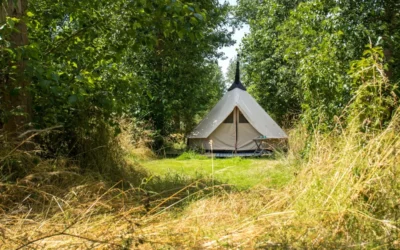 Ecologisch kamperen in een voedselbos