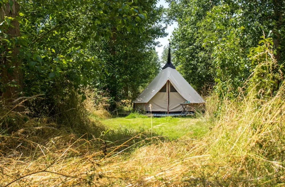 Ecologisch kamperen in een voedselbos