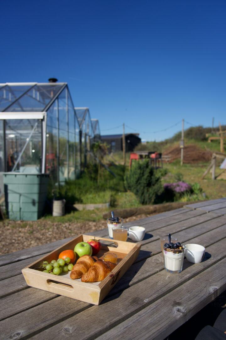 Workcation bij Basecamp IJmuiden