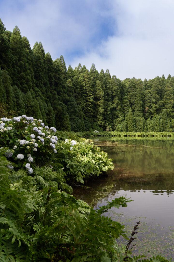 Wat te doen op São Miguel Azoren