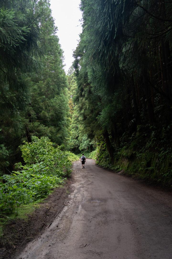 Wat te doen op São Miguel Azoren
