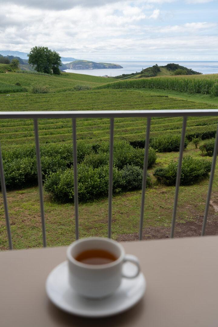 Wat te doen op São Miguel Azoren